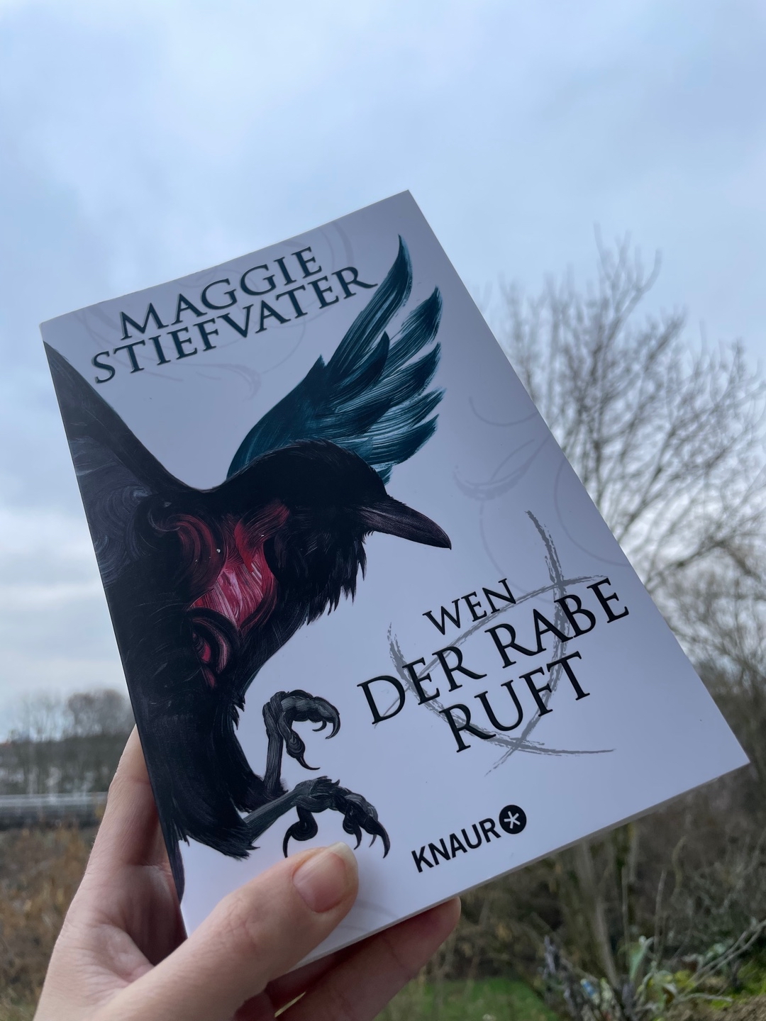 Blue. Gansey. Adam. Sie sind anders. Das Buch war anders. - Ein guter Reihenauftakt trotz geringer Charakterentwicklung. Spannend mit Luft nach oben.