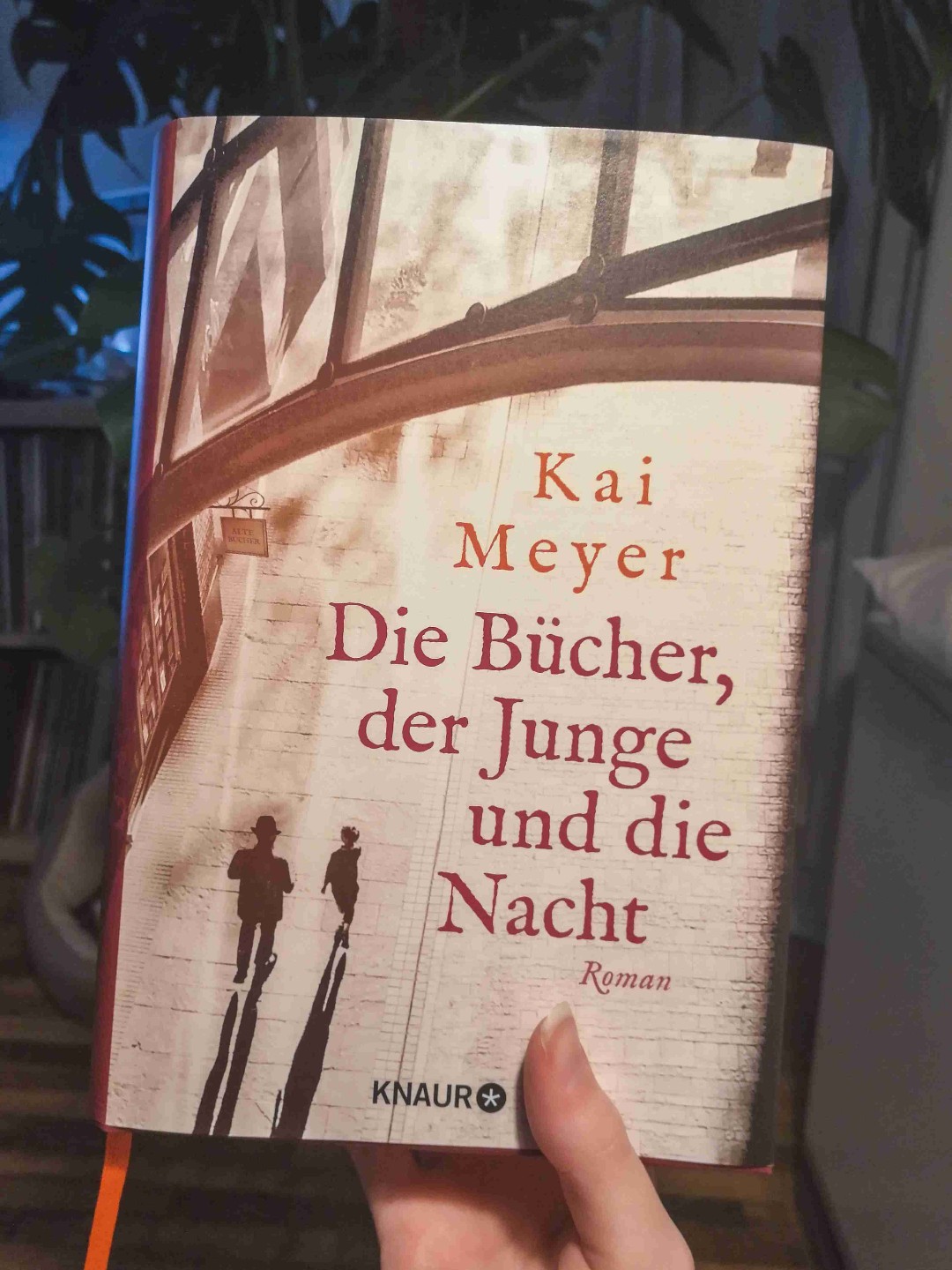 Anspruchsvolles, emotionales Buch! Keine typische Nationalsozialismusgeschichte!