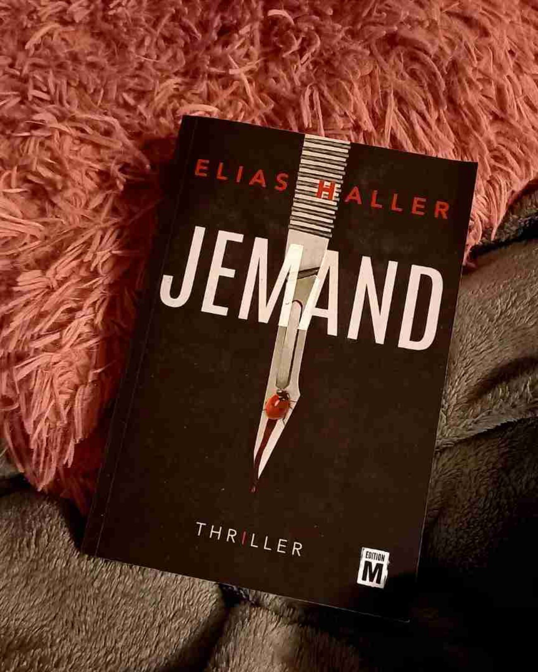 Ein richtig interessanter Thriller