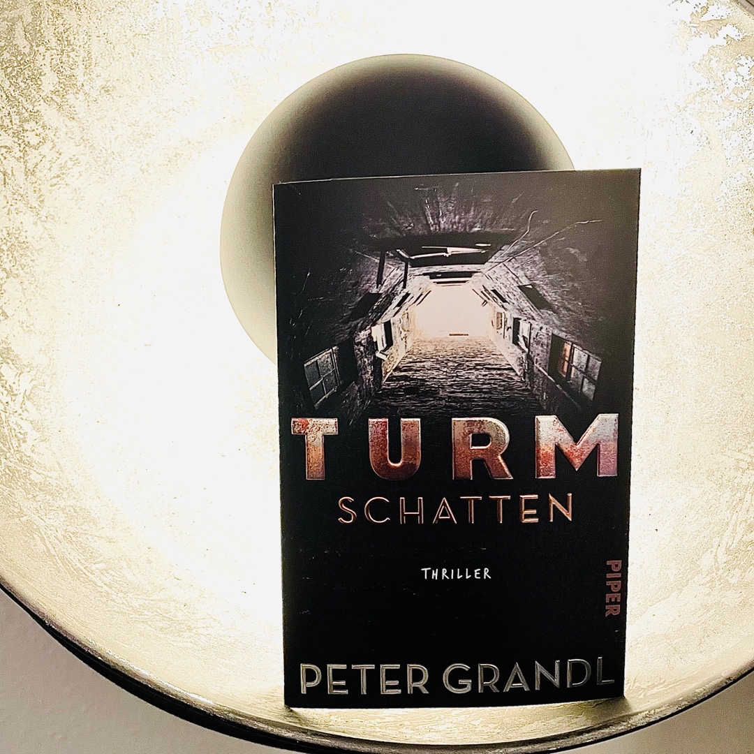 Guter Polit-Thriller