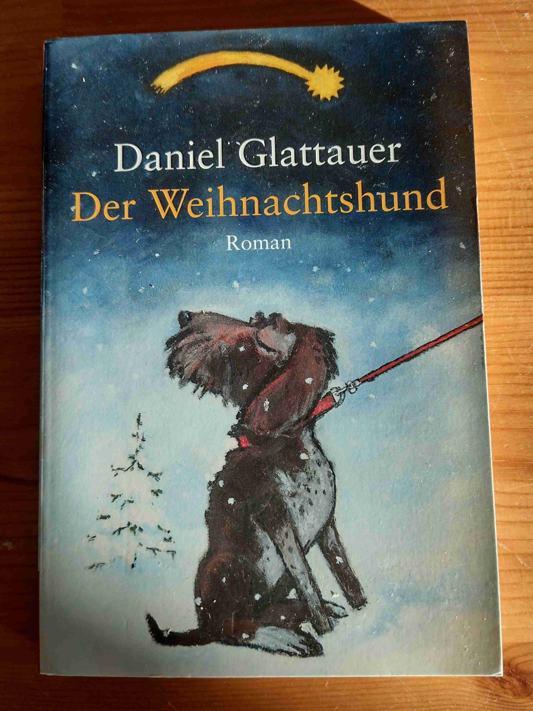 Amüsant geschrieben, jedoch nicht weihnachtlich