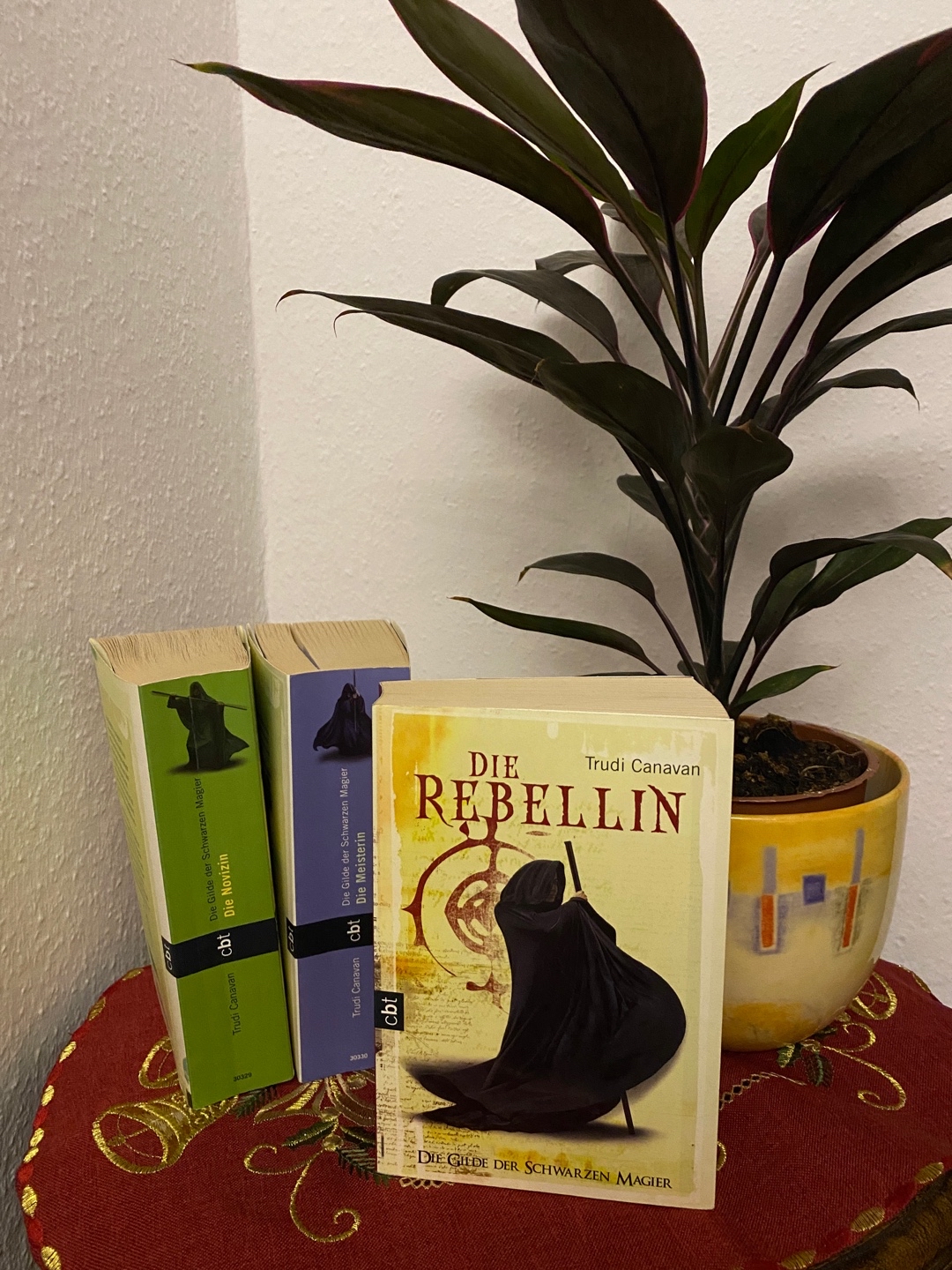 Der Unterschied zwischen Arm und Reich und viel Magie
