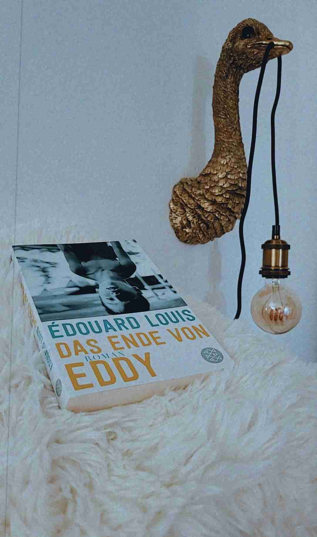 Wow. Ich weiß nicht, was genau ich erwartet hatte, aber bestimmt nicht diese schmerzhafte Ehrlichkeit, mit der Edouard Louis die menschliche Abscheulichkeit derart abstoßend vor Augen führt und dabei zugleich seine sprachliche Brillanz beweist.