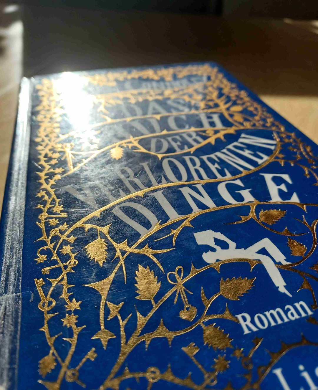 English: The book is about 12-year-old David who, after the death of his mother, finds another world through his retreat into books. Here he encounters all kinds of fairy tales, but in the original version. Brutal and bloody. All he really wants is to go home again, but in the end he has to learn that he has to save this world and his own in order to find his way home.
German: In dem Buch geht es um den 12-jährigen David, welcher nach dem Tod seiner Mutter, durch seinen Rückzug in Bücher, in eine andere Welt findet. Hier trifft er die verschiedensten Märchen, aber in Original-Version. Brutal und blutig. Eigentlich möchte er nur wieder nach Hause, doch am Ende muss er lernen, dass er Diese und seine Welt retten muss, um nach Hause zu finden.
...
...