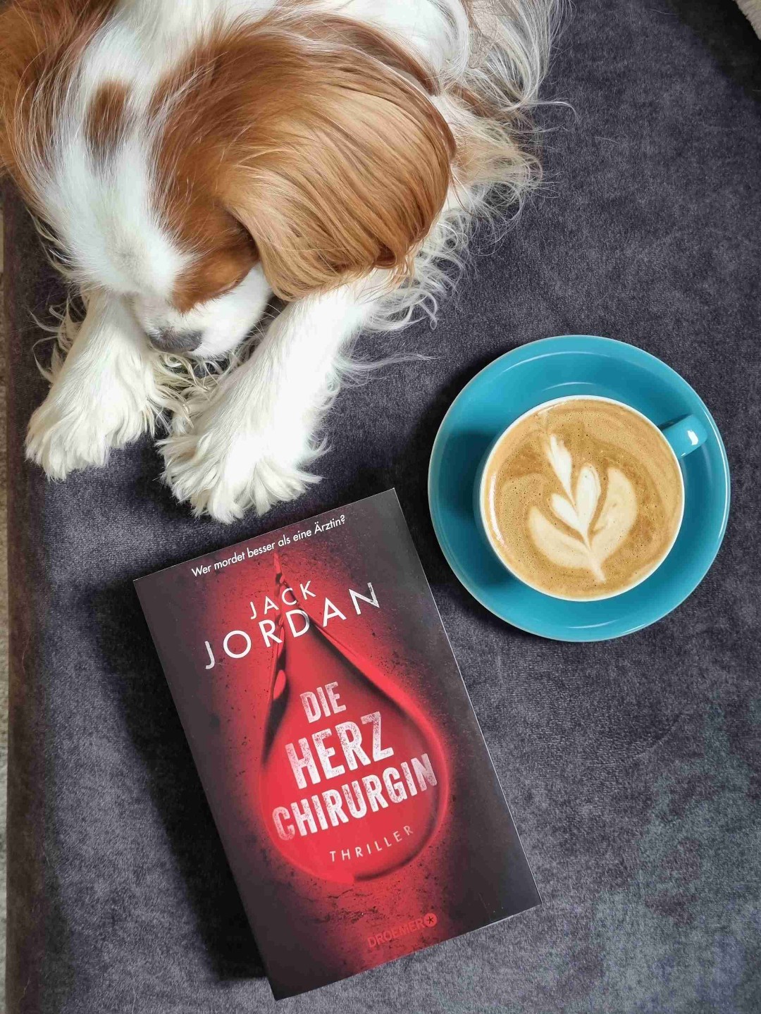 Jack Jordan hat es mir leicht gemacht sein Buch zu lesen. Eine spannende und rasante Story mit einem außergewöhnlichen Aufhänger.
