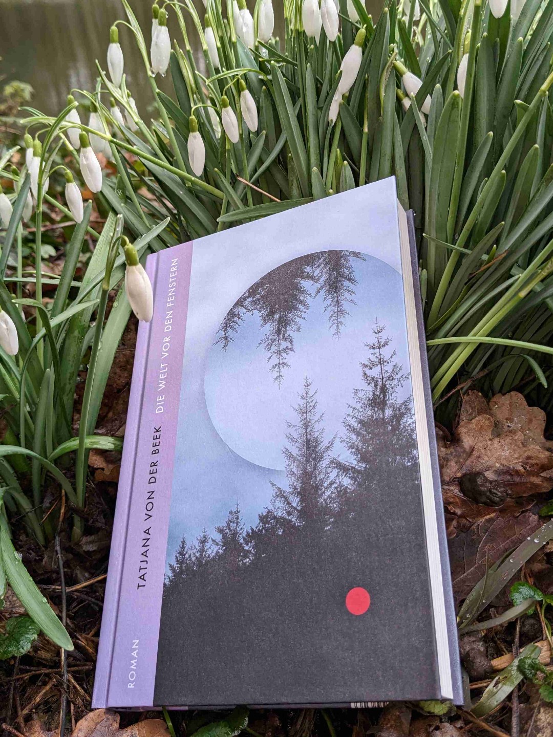 Ruhiger Coming-of-age-Roman mit einer starken Suspense und einer intensiven Beobachtung des Beziehungsgeflechtes. Leider war das Ende ein bisschen schnell. Ich hätte mir noch sehr einen Blick in die Zukunft gewünscht.