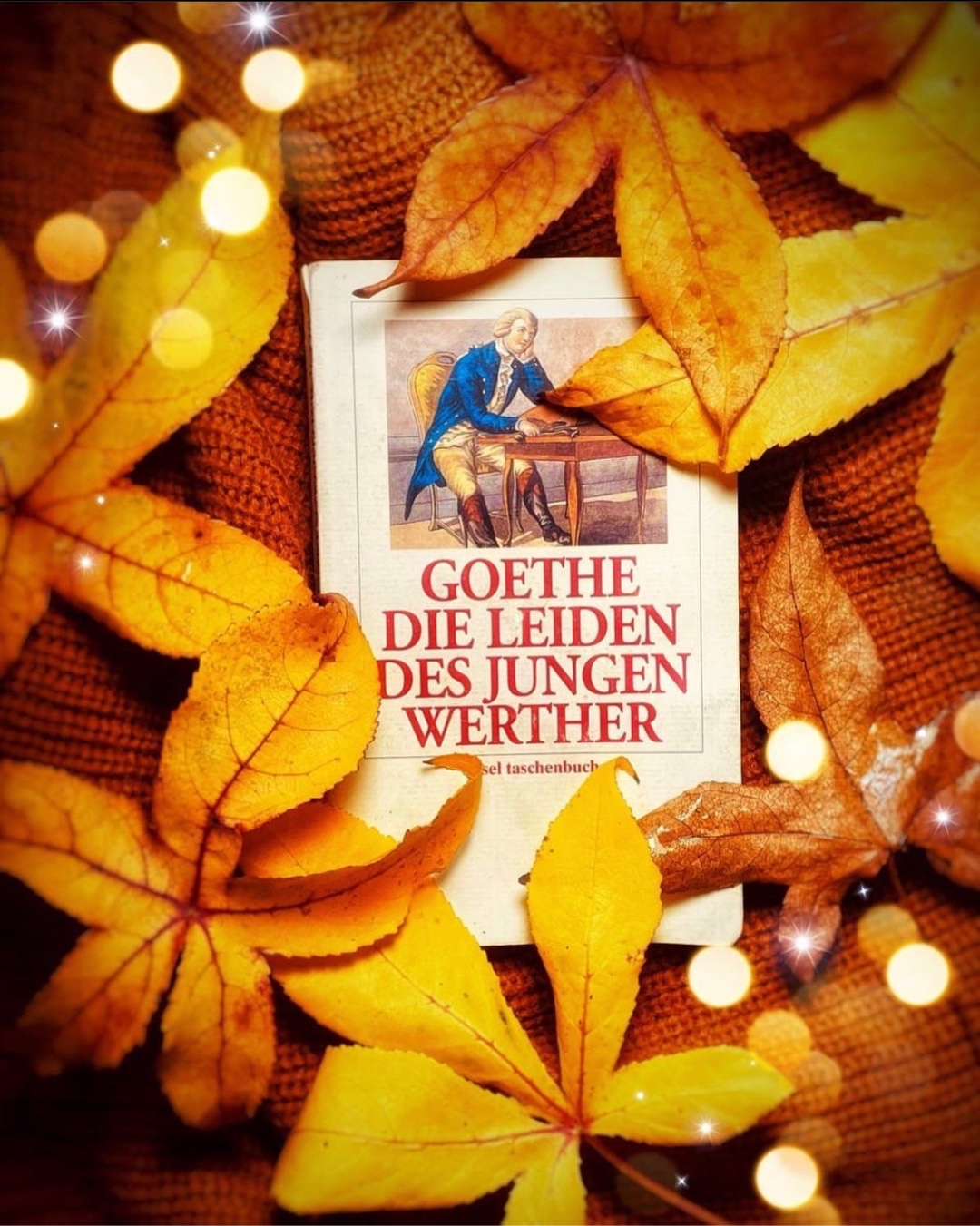 Protagonist ist Werther, ein junger Mann, der in der bereits verlobten Lotte die Verkörperung seiner Ideale sieht. Werther verliert sich in einer schwärmerischen und hoffnungslosen Liebe, die ihn in den Selbstmord treibt. Werthers Briefe an seinen Freund Wilhelm werden von einem fiktiven Herausgeber veröffentlicht.
