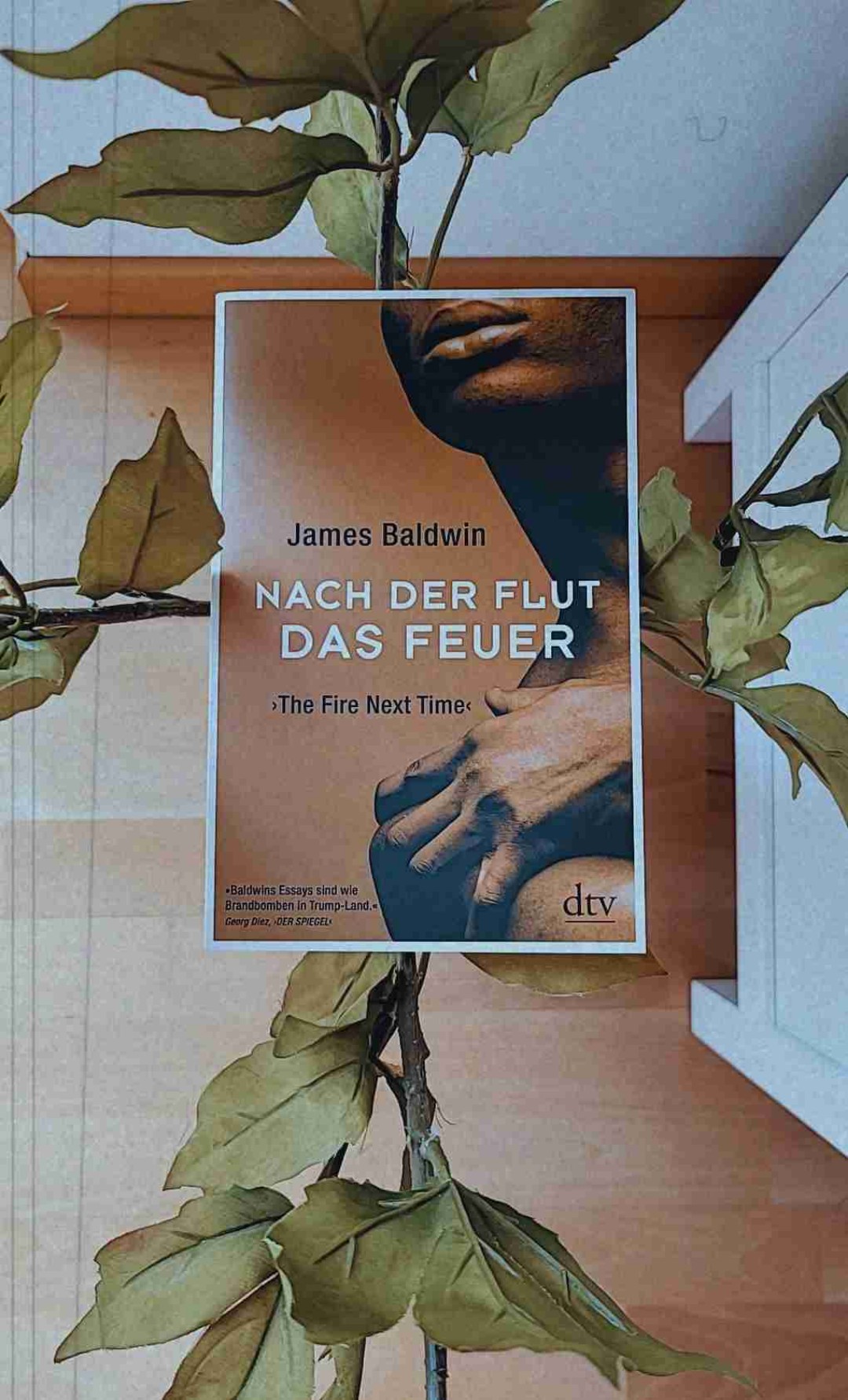Kraftvolles, teils forderndes aber stets nachdenklich stimmendes Anti-Rassismus Plädoyer, das leider auch nach 60 Jahren nicht an Aktualität verloren hat.