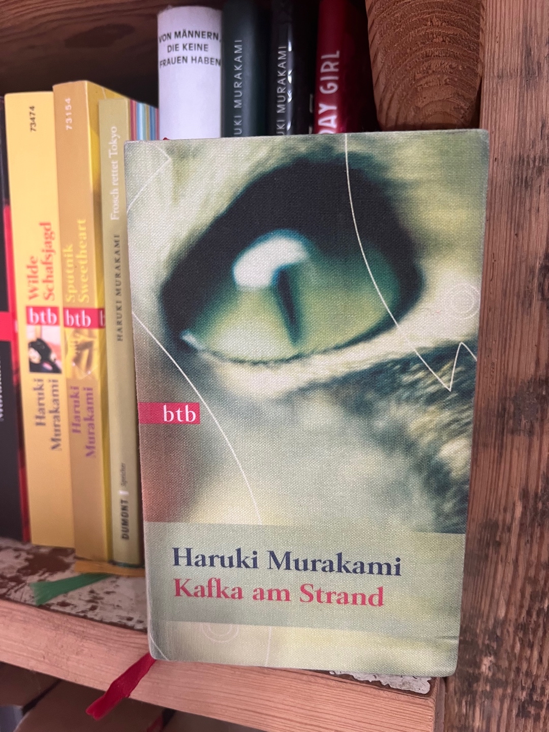 Eine phantastische Reise. Einfach wunderbar und eins der besten Haruki Bücher 🌸