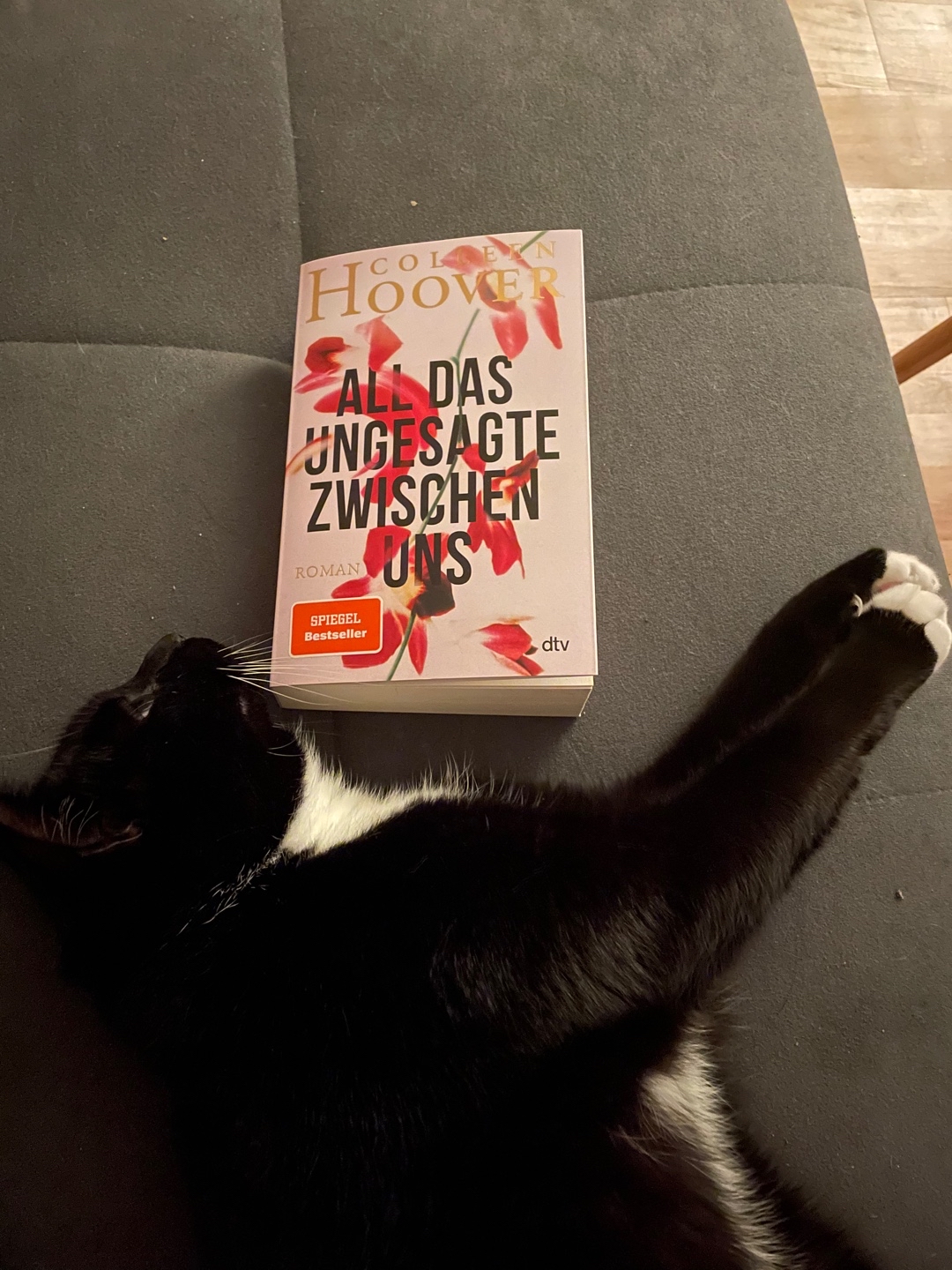Es gibt bessere Bücher von Colleen Hoover !