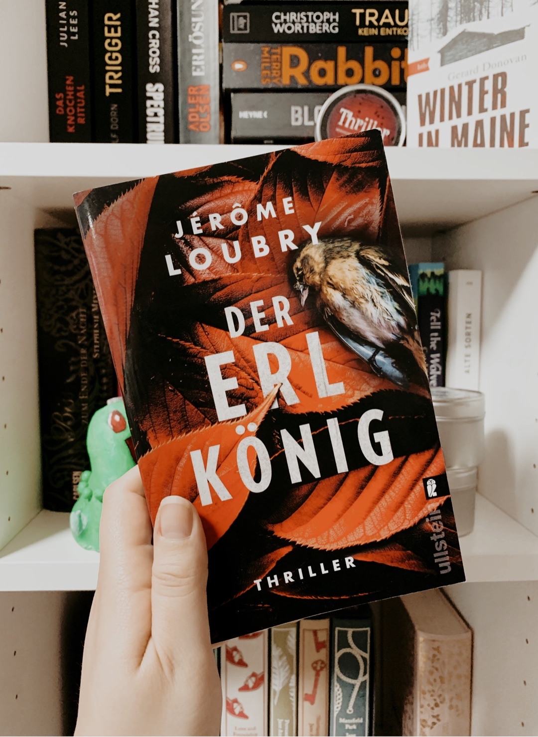 Richtig guter Thriller, aber der Anfang zieht sich. 
