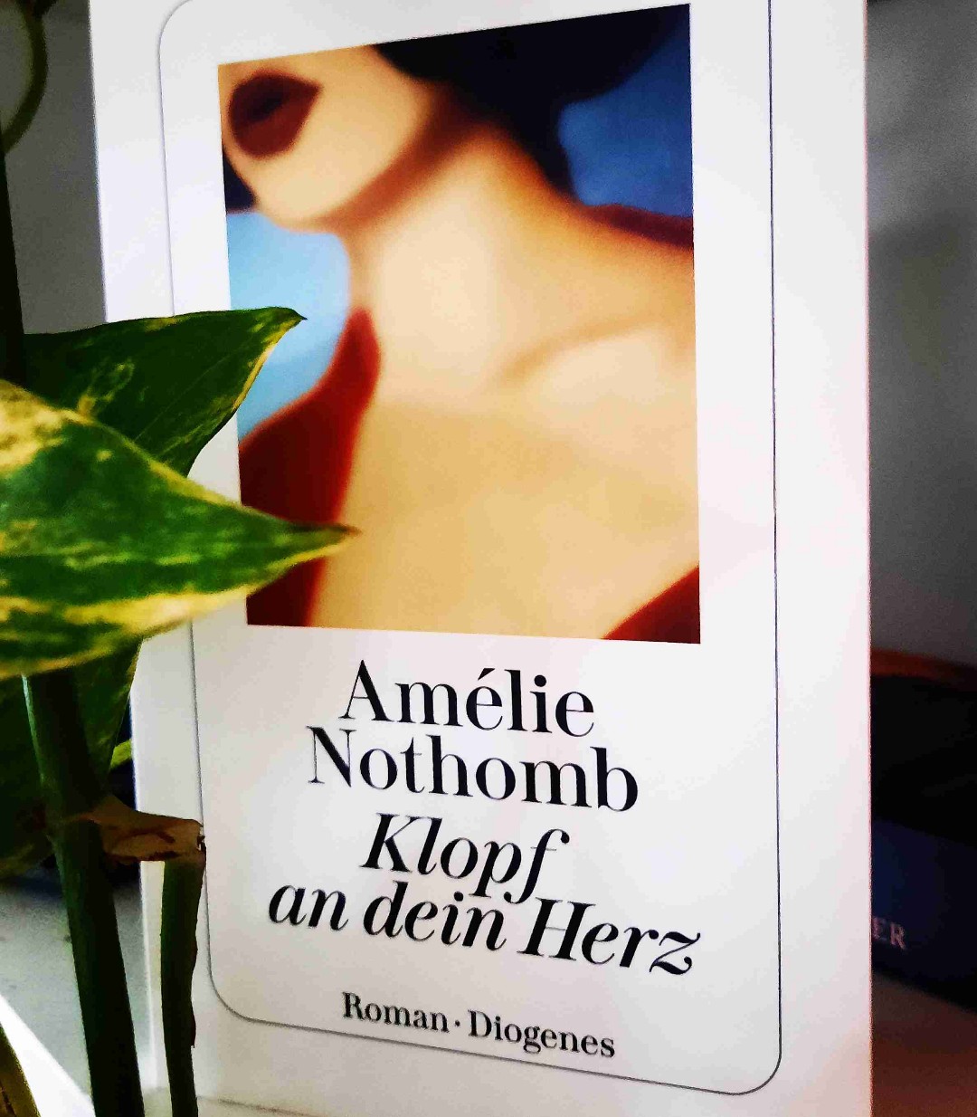 Toller tiefgründiger kurzer Roman