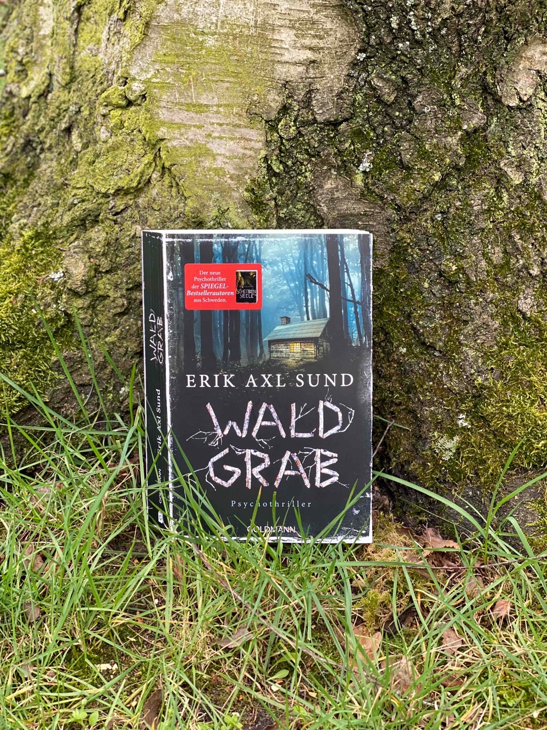 Für mich war es leider etwas zu wirr…