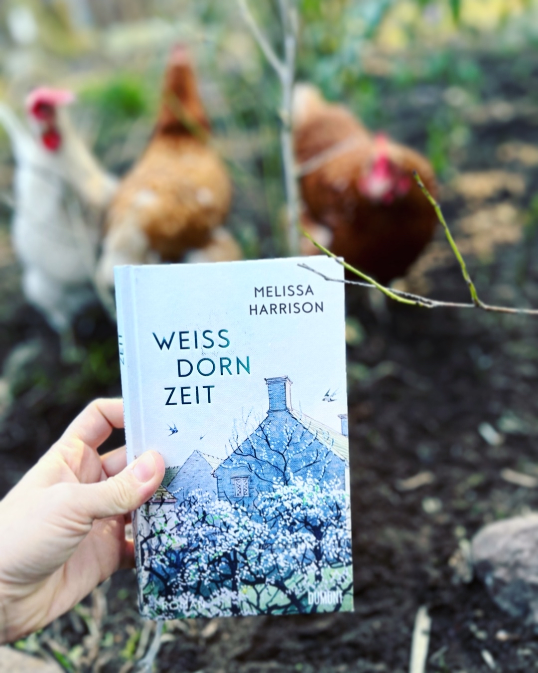 Habe mir mehr davon versprochen…
