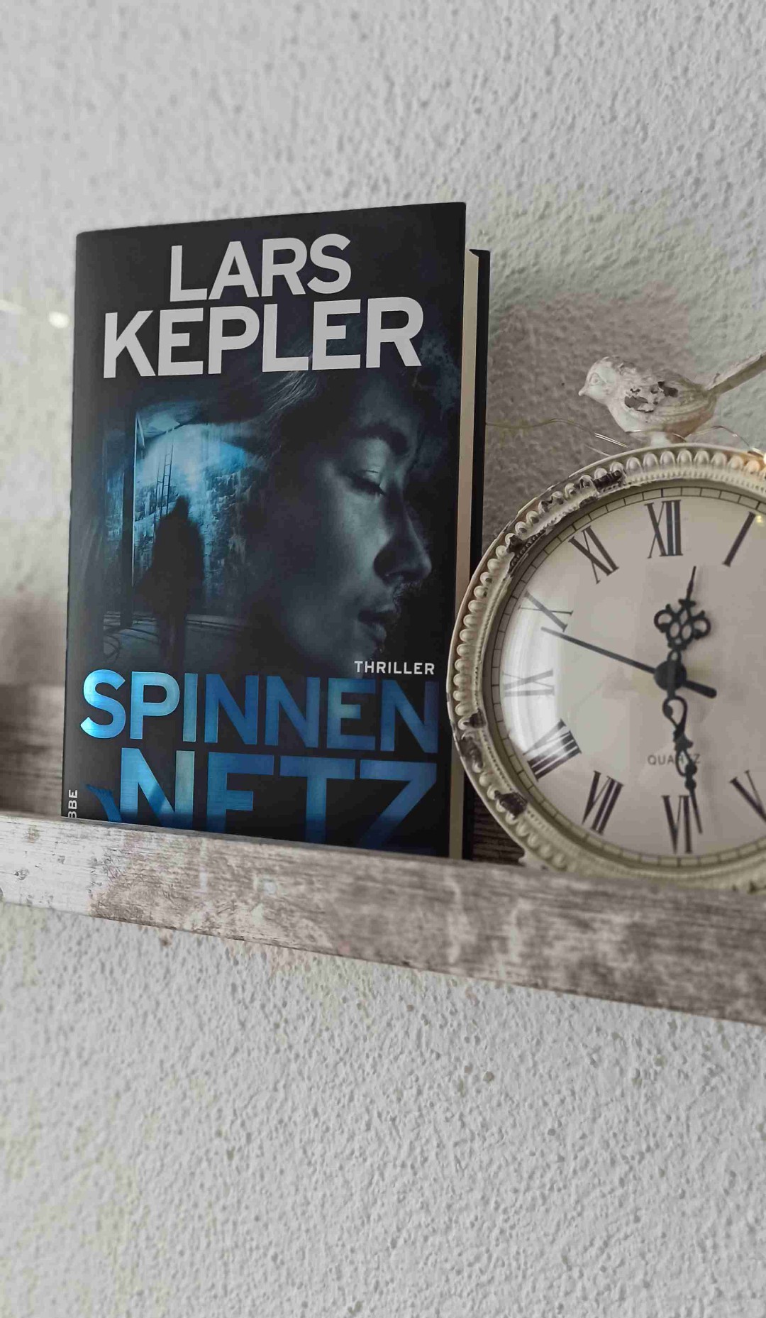 .. gefangen im Spinnennetz