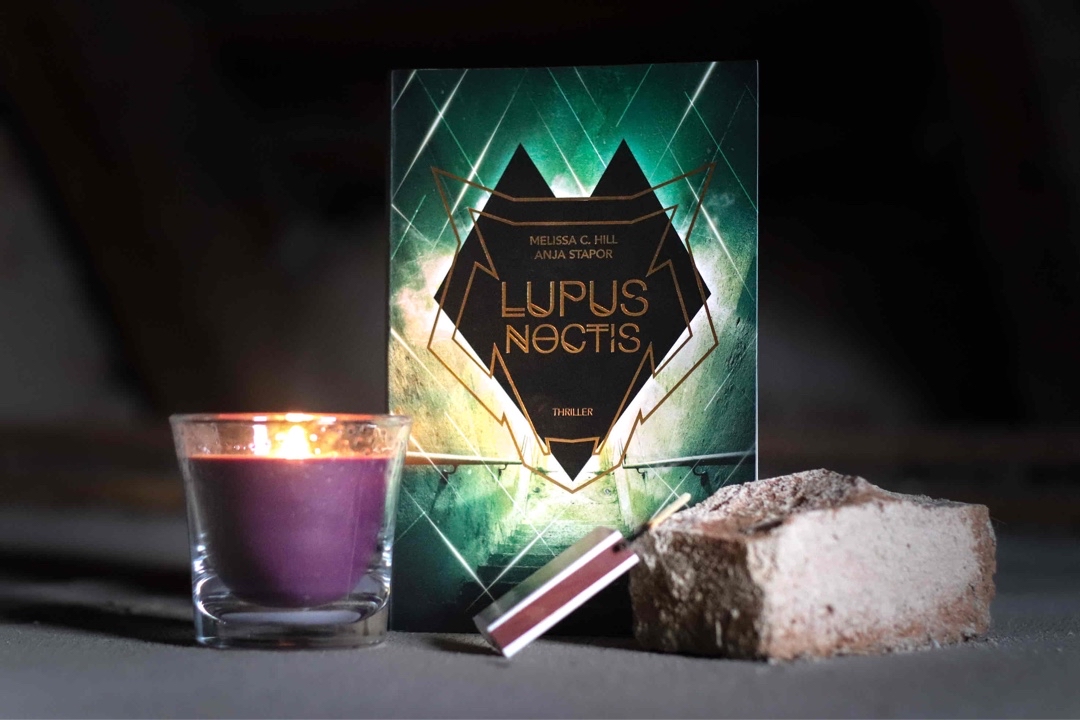 Lupus Noctis
Thriller 

Von Melissa C. Hill & Anja Stapor

Eine befreundete Gruppe… Ein zusammen entwickeltes Spiel… Ein unterirdischer Bunker.. und eine Nacht die alles verändern wird….