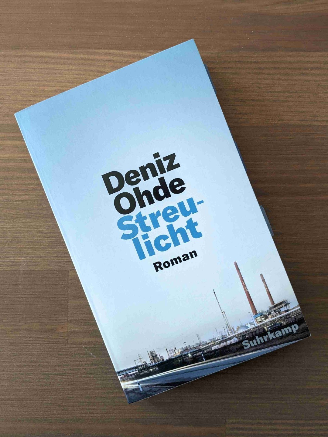 Eine mitreißend ehrliche Geschichte über eine namenlose Protagonistin, über das Aufwachsen mit einem angsterfüllten Vater (der Auseinandersetzungen meidet und nicht darüber redet), über das Erleben von Rassismuserfahrungen (ohne dass sie wortwörtlich so benannt würden), über falsche Bildungsversprechen einer Gesellschaft (die ohnehin schon durch die eigene habituelle Prägung vorbestimmt sind) und das Erwachsenwerden ohne wirklichen Traum vom Leben. Ein sehr ergreifender Roman!
