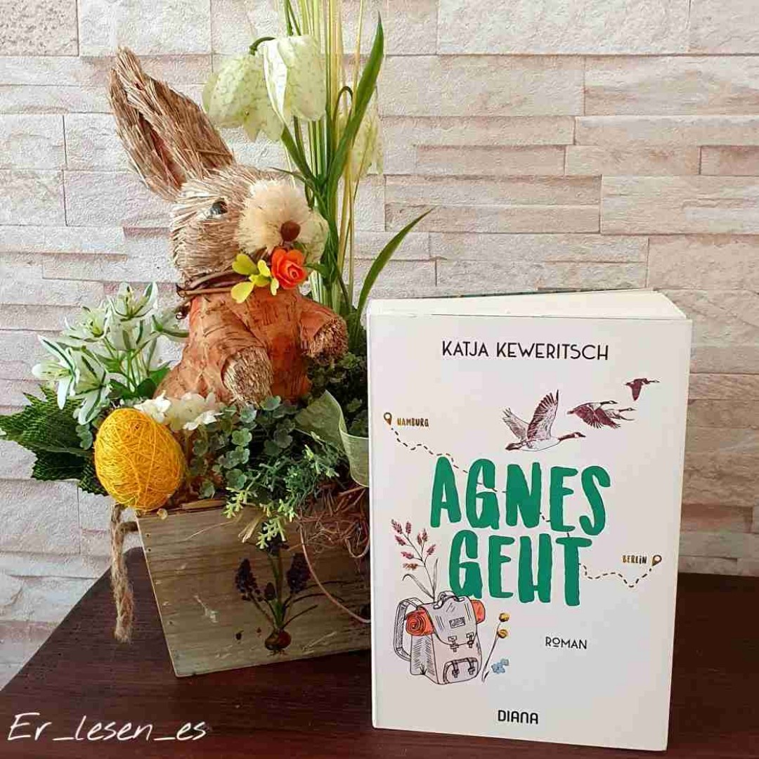 ⭐️⭐️⭐️(⭐️)
Ich konnte viele von Agnes‘ bewussten und unbewussten Entscheidungen nicht richtig nachvollziehen und empfand das Buch daher auch nicht als Highlight für mich. Für Frauen, die sich in einer ähnlichen familiären und/oder beruflichen Situation wie Agnes befinden, mag es aber durchaus ein Augenöffner sein – ihnen würde ich es auf jeden Fall empfehlen.  
