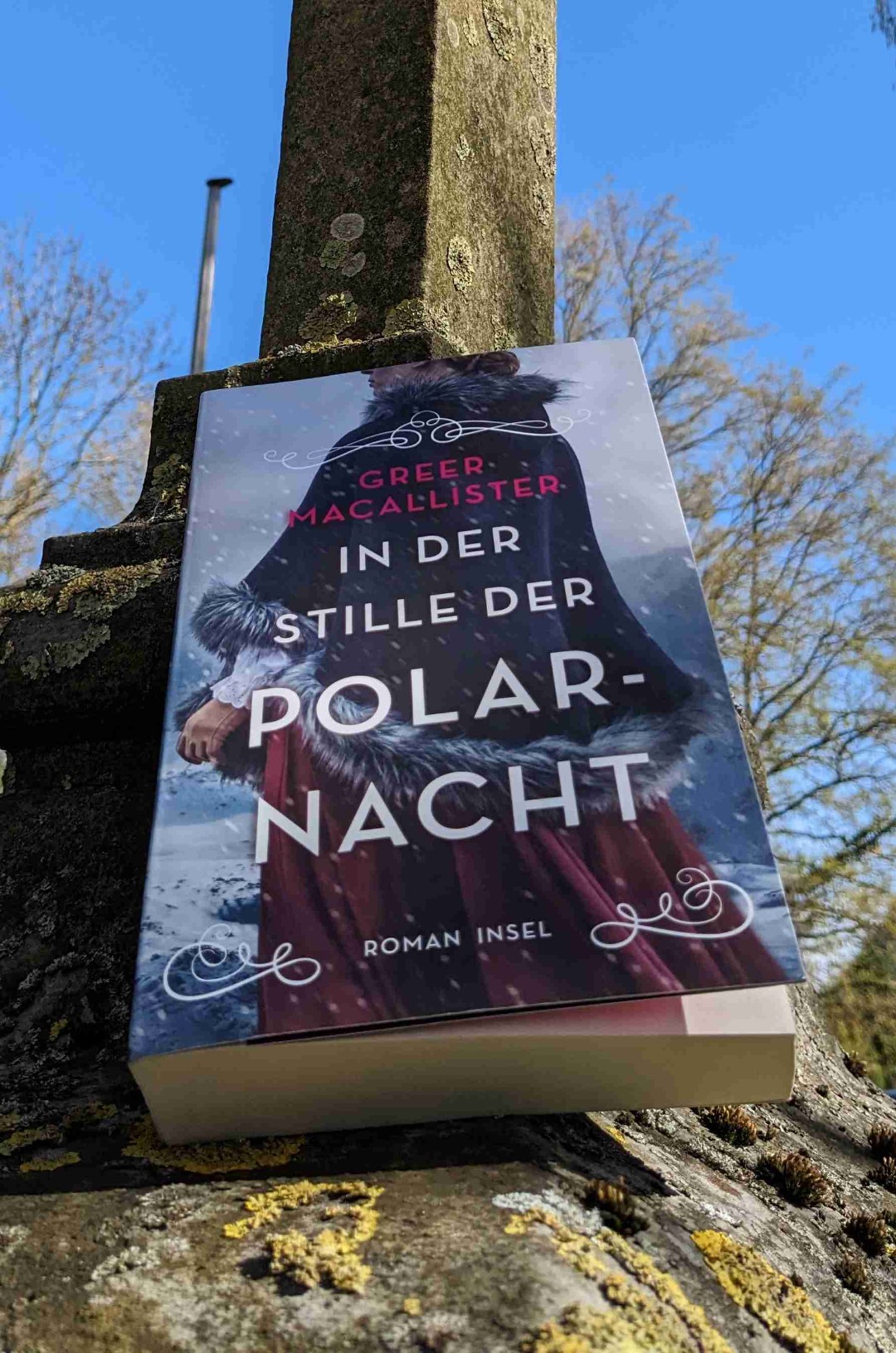 Spannende Mischung aus historischem Abenteuerroman und Gerichtskrimi.
