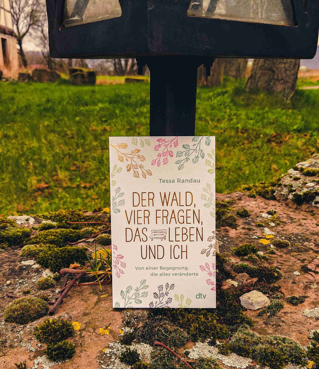 4  anscheinend simple Fragen, die dein Leben verändern können.