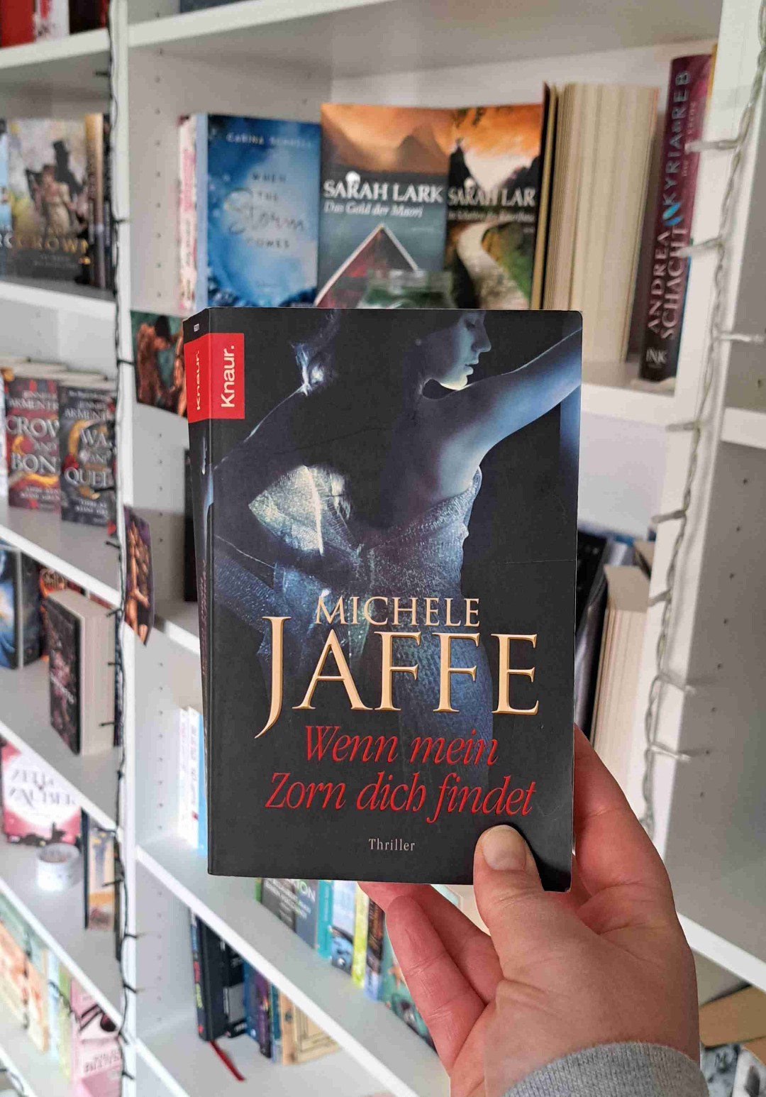 Ein tolles Buch für Thriller Liebahber