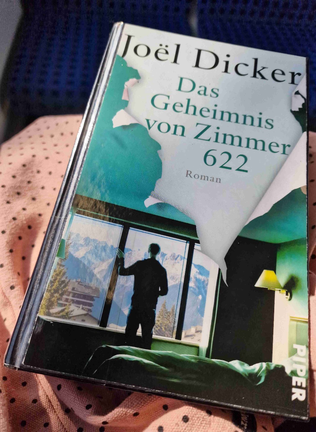 Mein erstes Buch von Joël Dicker