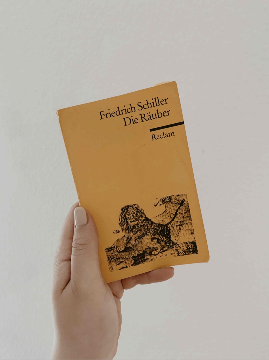 Bruderrivalität auf einem anderen Niveau. Schillers erstes Drama kritisiert hier die Obrigkeit und thematisiert den Ruf der Freiheit und die Betonung der Gefühle