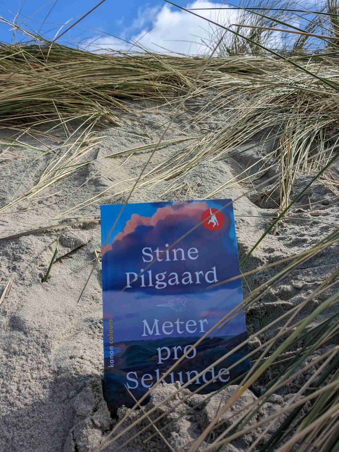 Scharfzüngige kolumnenartige Erzählung, deren Charaktere grob skizziert bleiben. Viele komische Momente in konstruierte Szenen ohne greifbaren Spannungsbogen, Charakterentwicklung und emotionalen Tiefgang. Mir war es zu wenig für ein Buch. Trotzdem hat es einen hohen Erhaltungswert aufgrund des spitzen Mundwerks der Protagonistin.