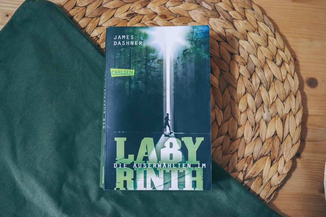 Sci-Fi Dystopie Jugendbuch - ich liebe es