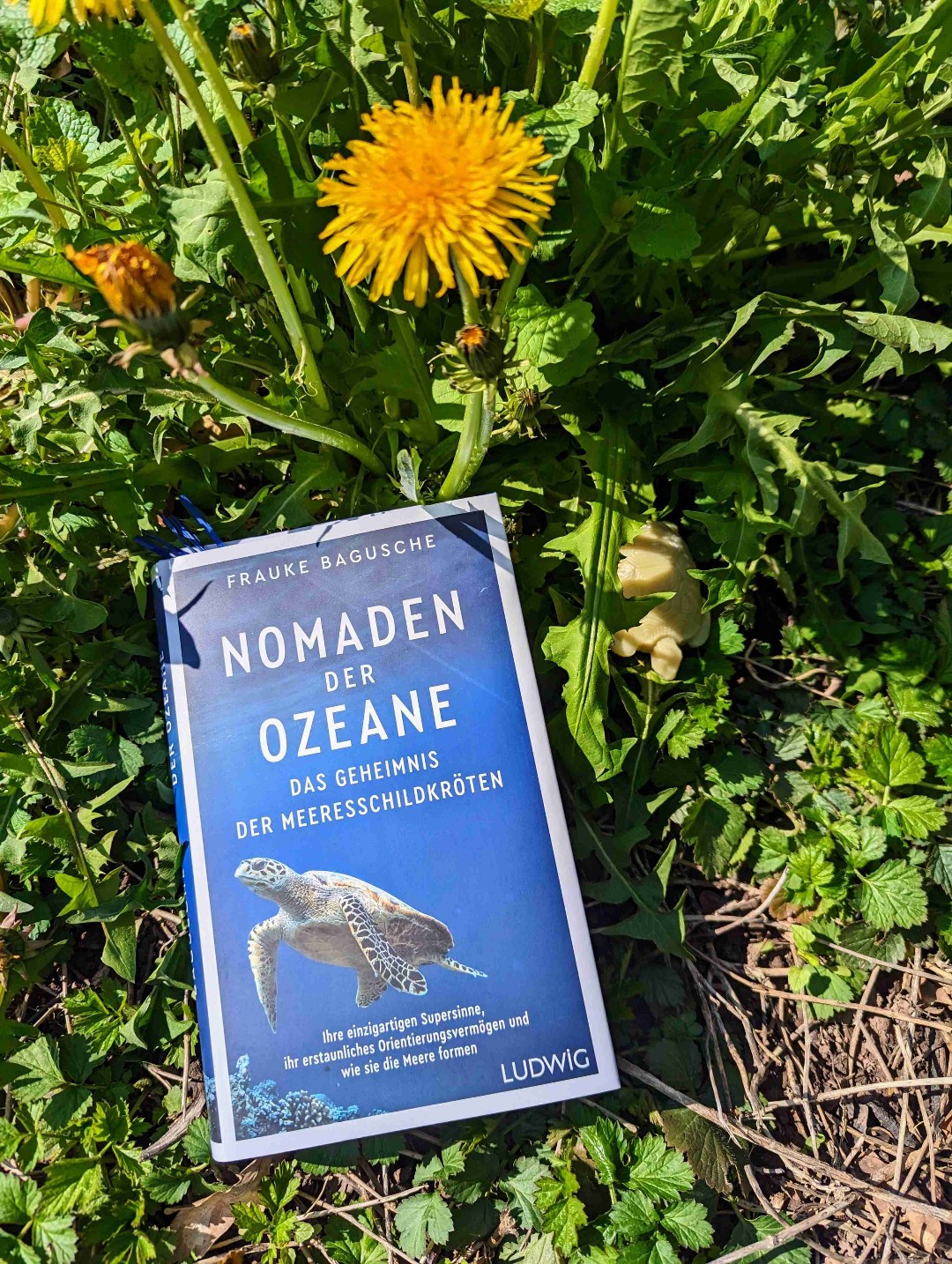 Ein schönes und informatives Buch.