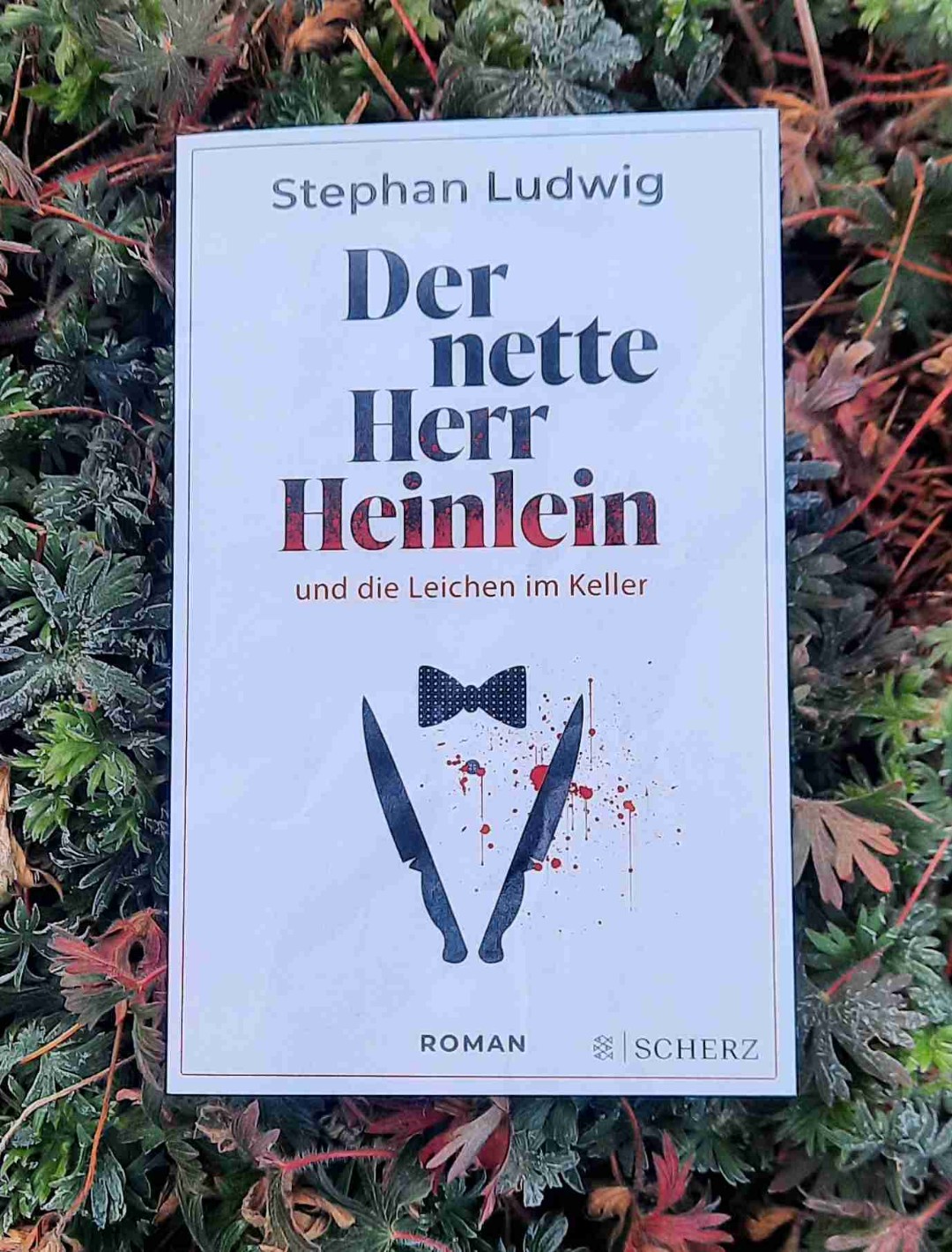 Schwarzer Humor trifft auf skurrile Szenen.