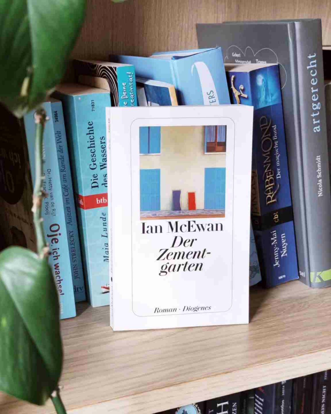 "Der Zementgarten" von Ian McEwan ist ein gleichermaßen verstörendes wie auch fesselndes Buch.