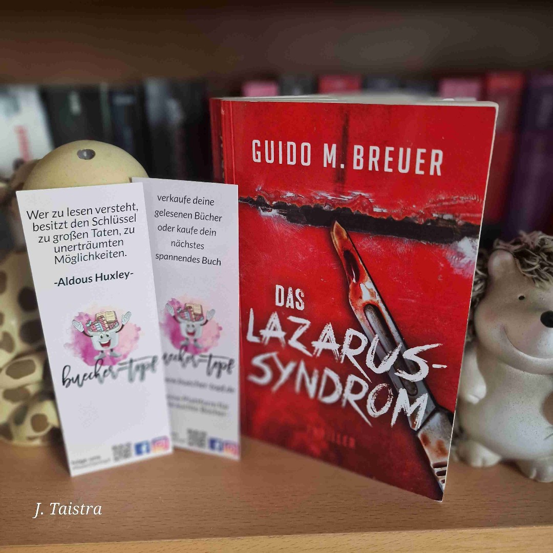 Ich muss sagen, dass sich das Buch besser angehört hat, wie es im Endeffekt war.