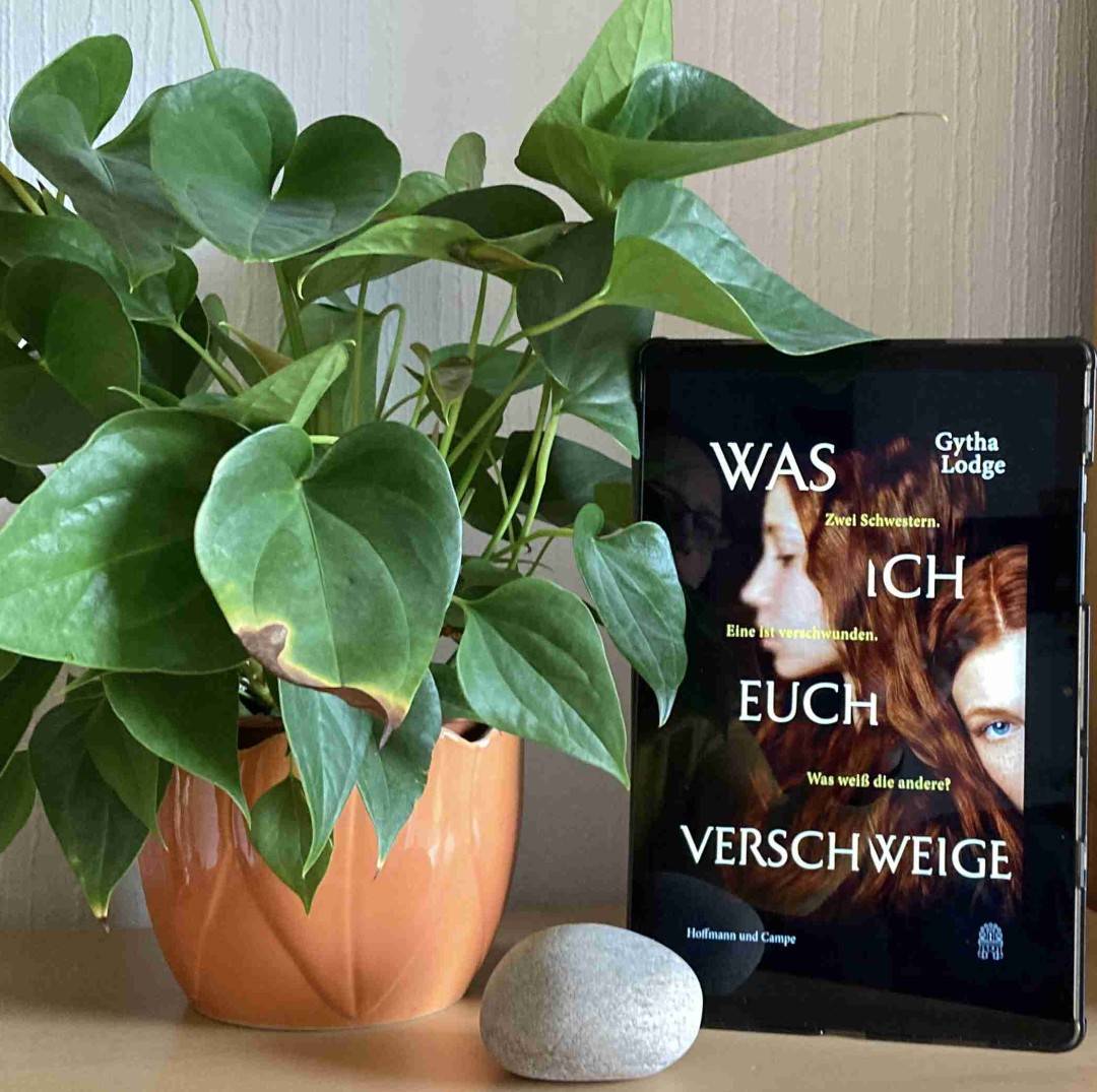 Ein spannender Thriller mit einigen Wirrungen 