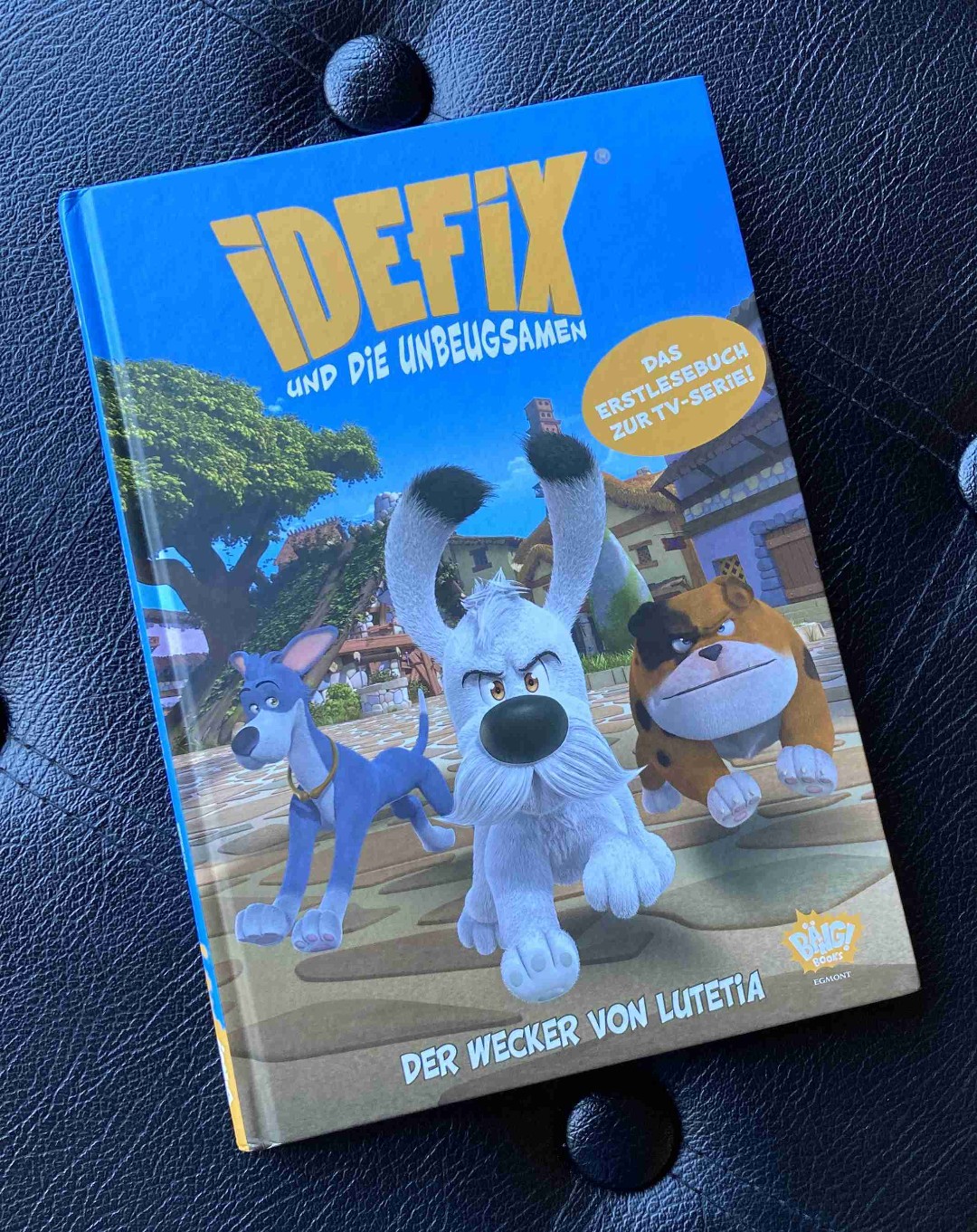 Ein tolles, spannendes und humorvoller Kinderbuch