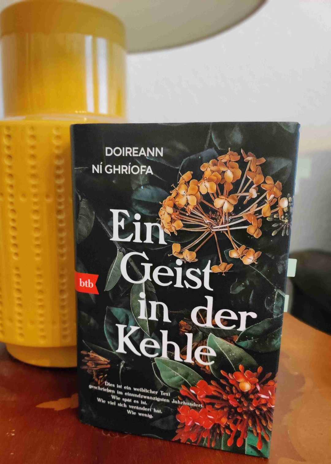 Es könnte sein, dass ich ein neues Lieblingsbuch habe ...
