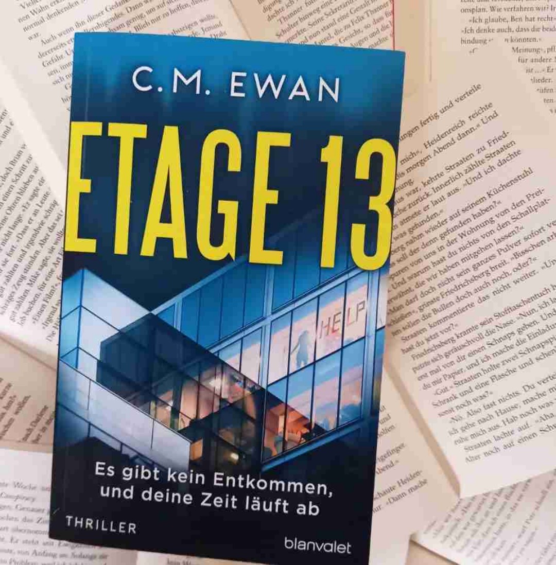 Guter Thriller für zwischendurch.