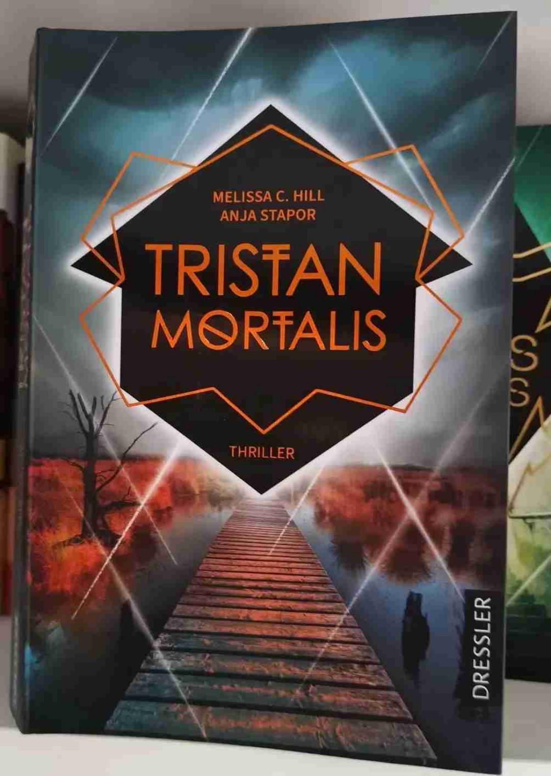 Der kleine Bruder von Lupus Noctis, ein solider Thriller mit gelungenen Überraschungen