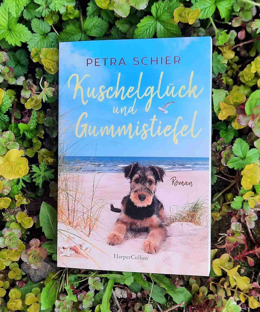 Liebesroman und so viel mehr.