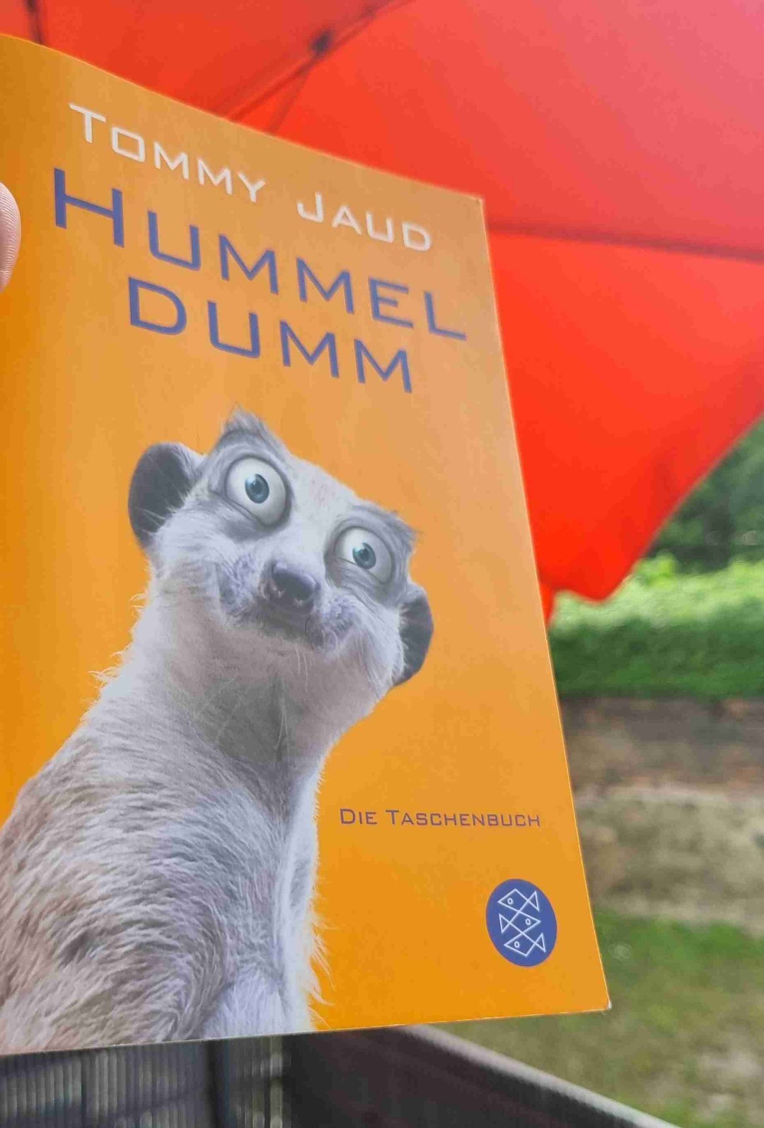 Doch sehr amüsant