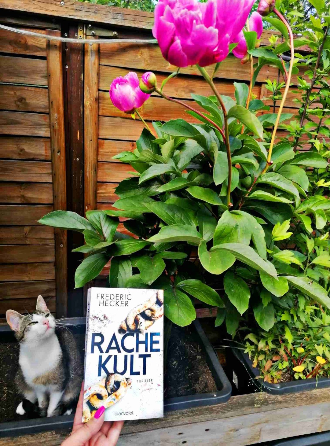 Hammer geile Reihe 