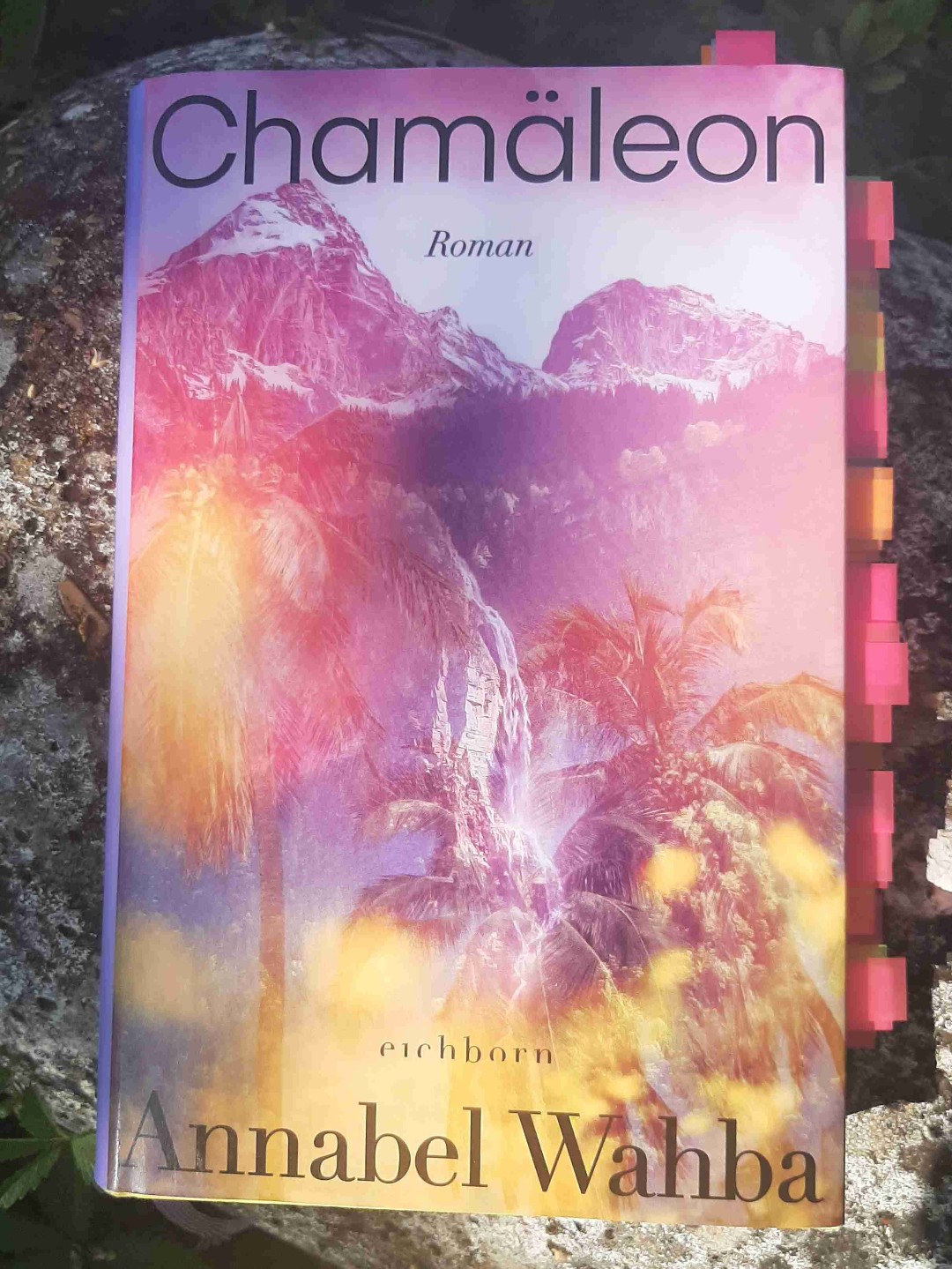 Annabel Wahba, Journalistin und Autorin, schrieb bereits 2006 in der Zeit, dass sie sich als Tochter einer deutschen Mutter und eines ägyptischen Vaters oft als Chamäleon empfindet. In ihrem 2022 erschienenen Debütroman "Chamäleon" vertieft sie dieses Thema weiter. Ich bin ihrer Familiengeschichte sehr gern gefolgt.