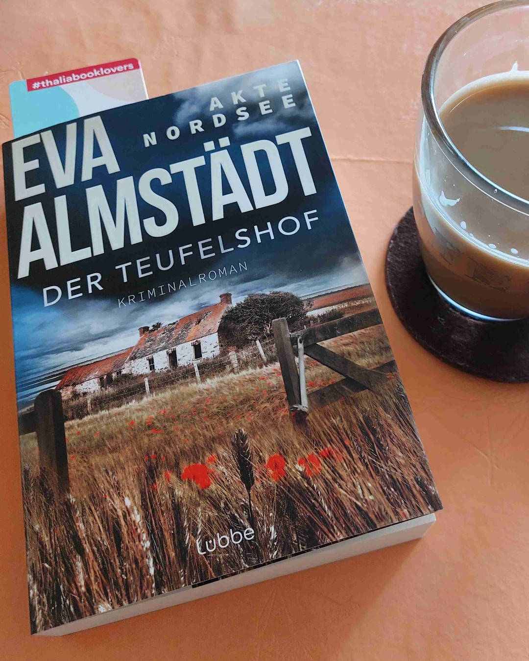 Solider 2. Akte Nordsee-Krimi