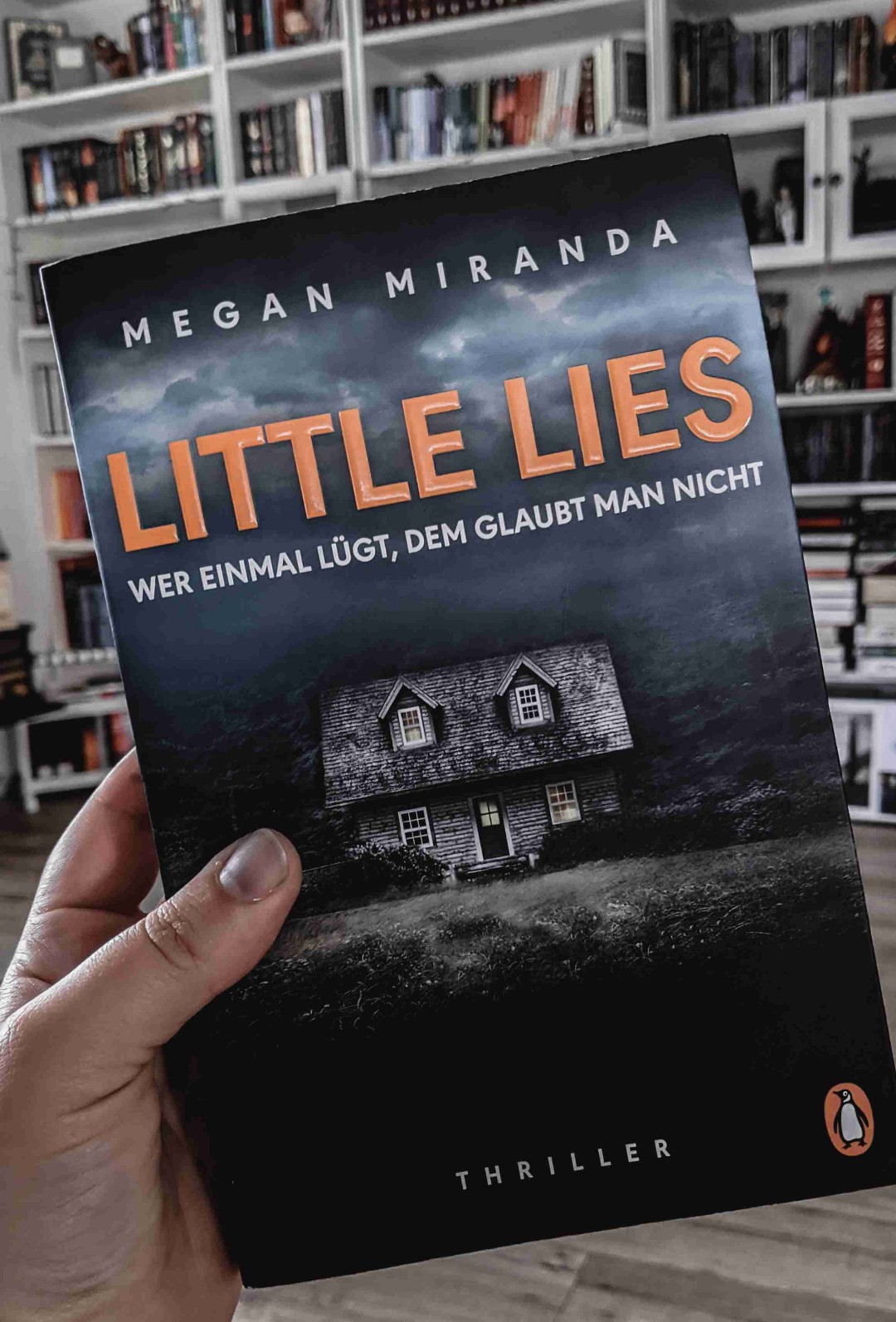 Ein guter Thriller aber ich habe mehr erwartet 