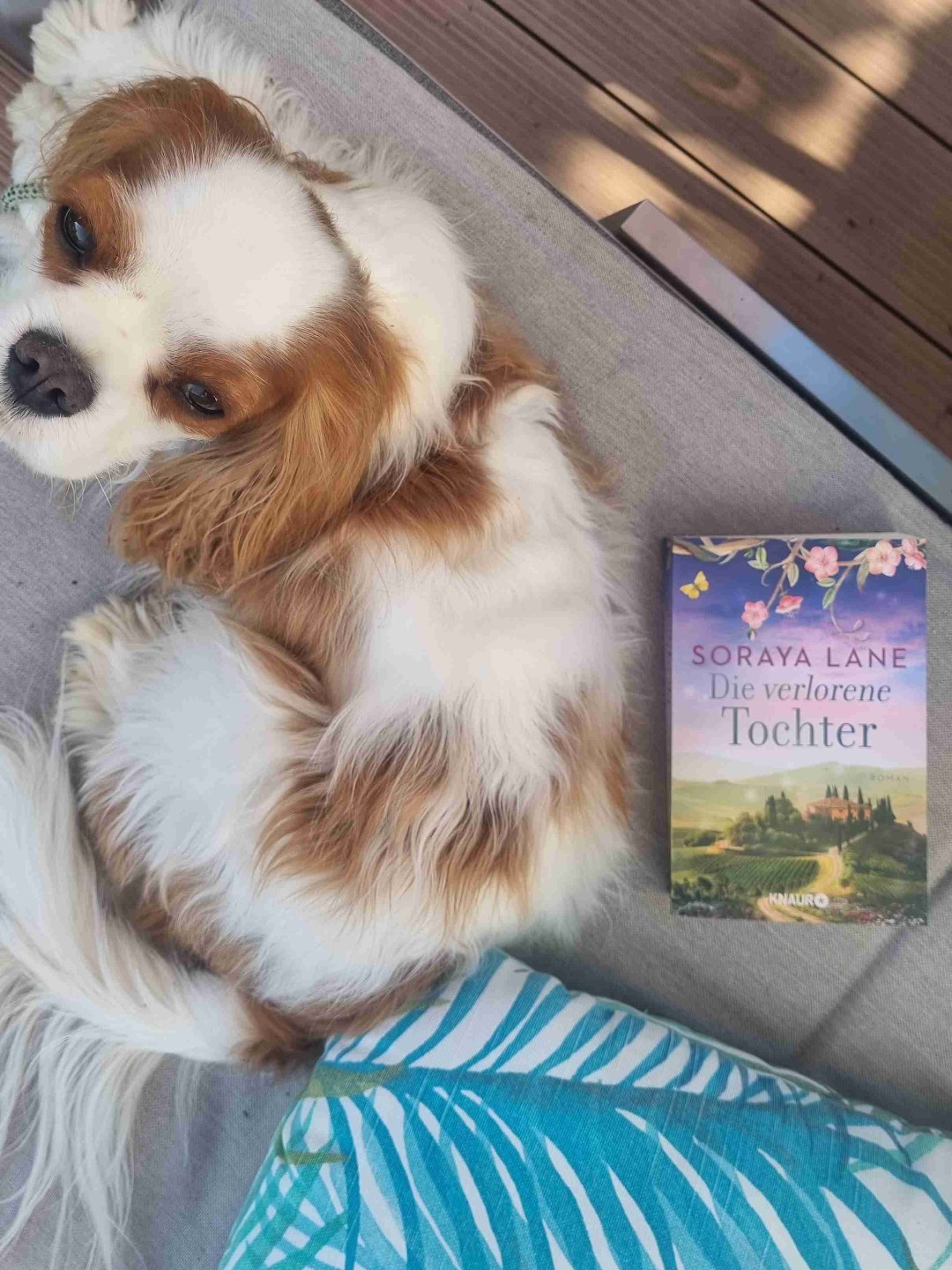 Wer die Schwestern-Bücher mochte, wird auch dieses Buch lieben. Ein Familiengeheimnis das aufgedeckt wird und die wunderschöne Beschreibung der Orte machen das Buch zu einem absoluten Pageturner.