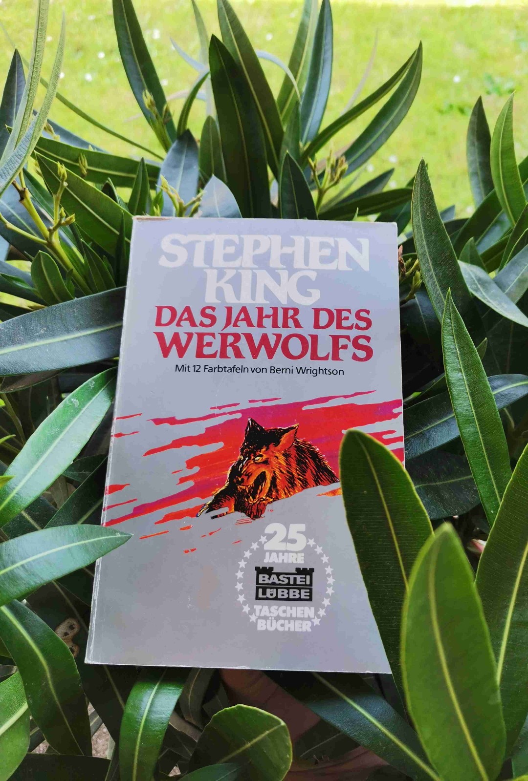 Das einzig positive was ich nennen kann ist, dass die Illustrationen wirklich gut sind, aber das war es leider auch.