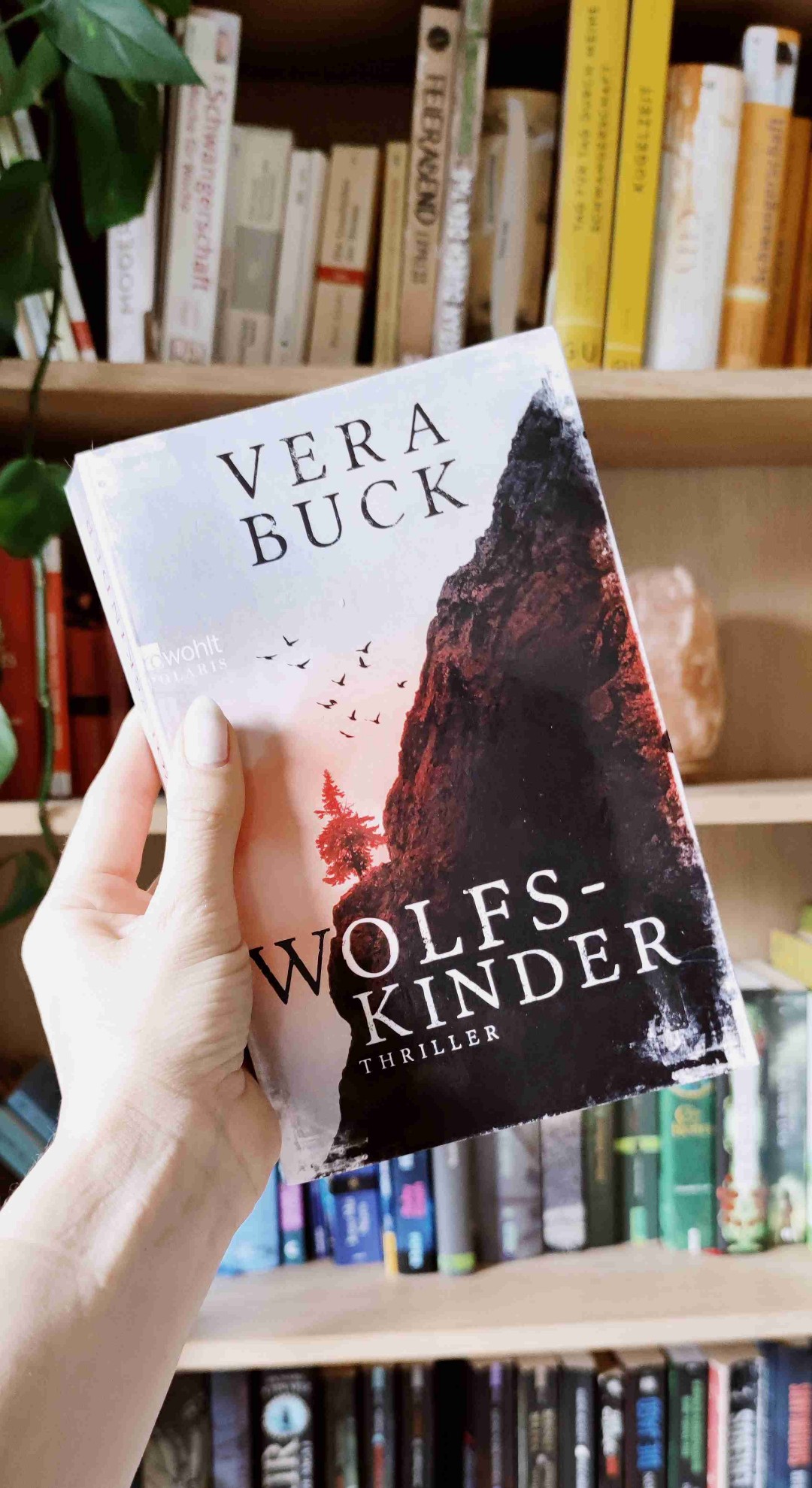 Eine Leseempfehlung für alle Thriller-Mäuse, die Lust auf einen ruhigen, Atmosphärischen Thriller in einem originellen Setting haben.