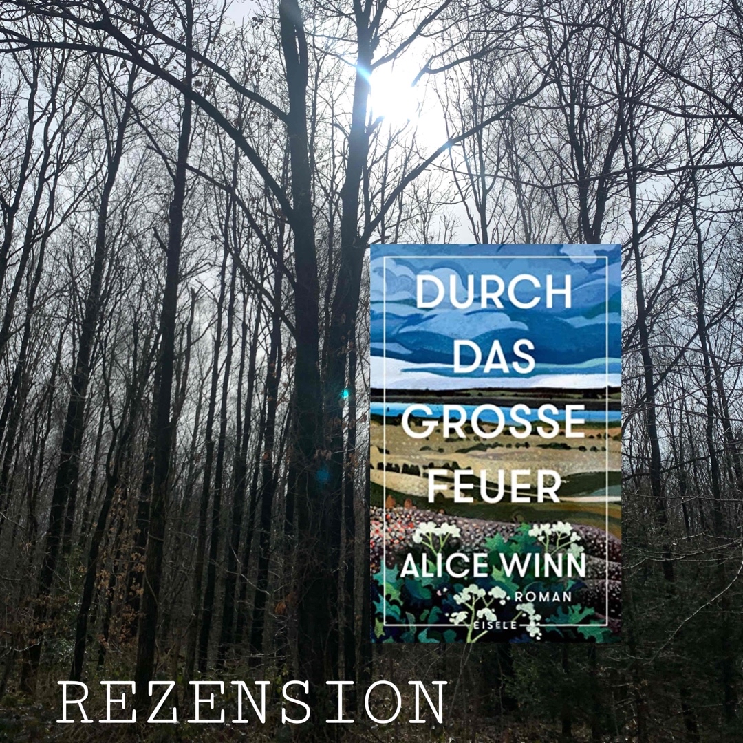 Zwischen Liebe und Krieg : zu erschütternd