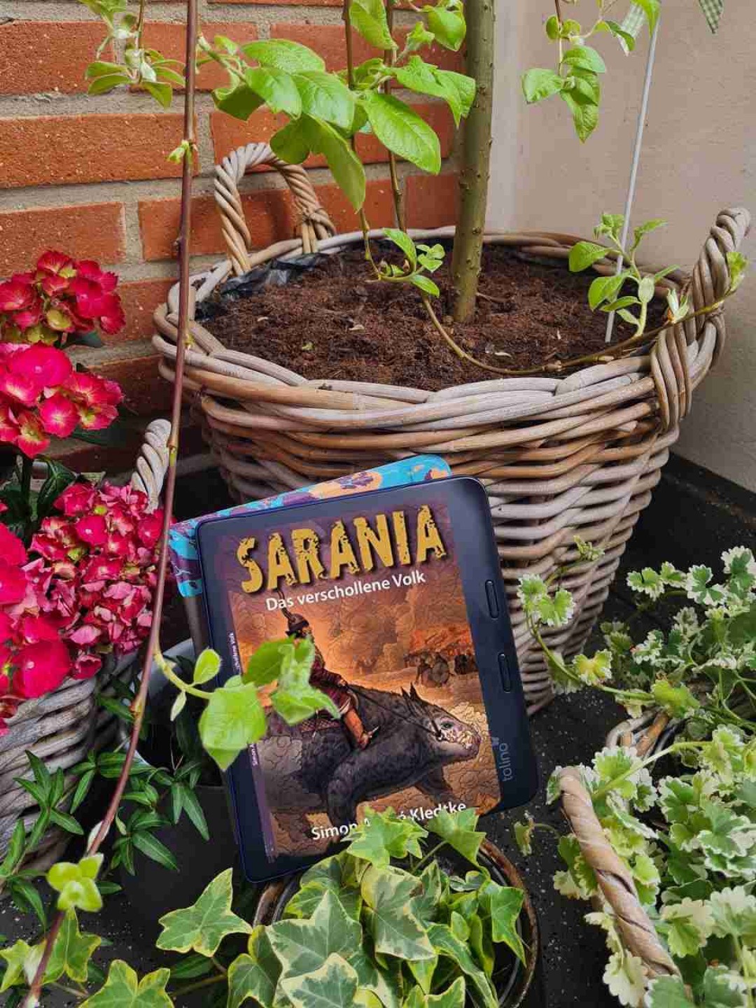 Klasse Fantasy á la Herr der Ringe, Eragon, Harry Potter etc. !