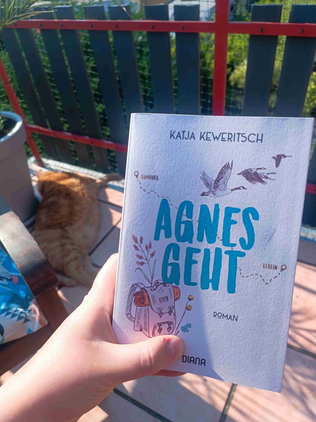 Total schöne, ehrliche Geschichte, mit Charakteren die sich wirklich real anfühlen!
